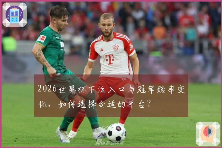 2026世界杯下注入口与冠军赔率变化，如何选择合适的平台？