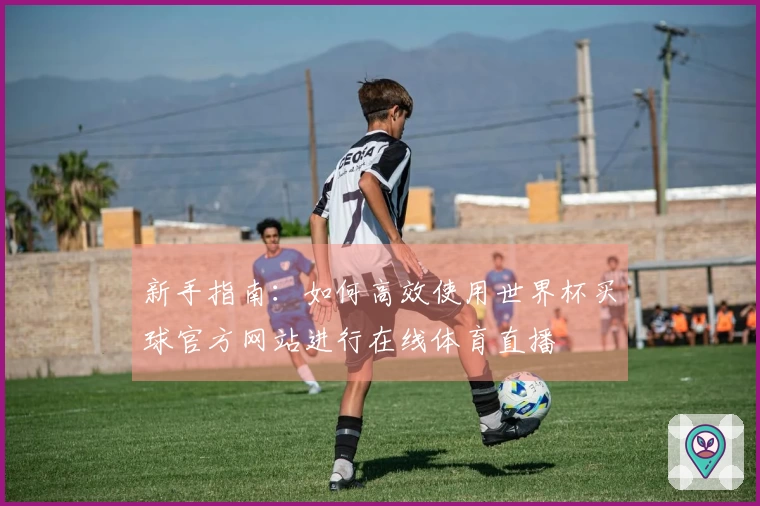 新手指南：如何高效使用世界杯买球官方网站进行在线体育直播