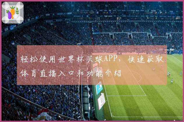 轻松使用世界杯买球APP，快速获取体育直播入口和功能介绍