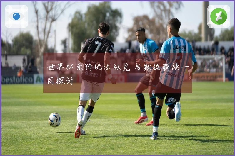 世界杯竞猜玩法纵览 与数据解读一同探讨