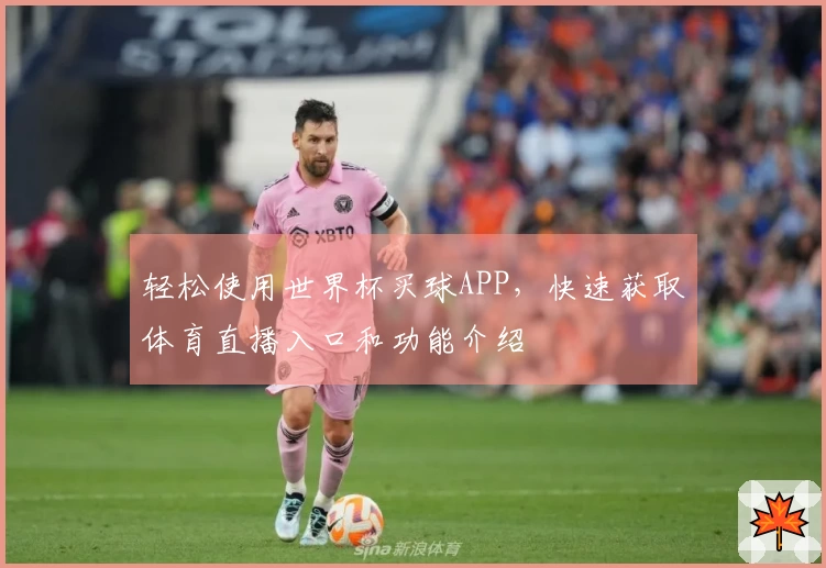 轻松使用世界杯买球APP，快速获取体育直播入口和功能介绍