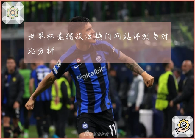 世界杯竞猜投注热门网站评测与对比分析