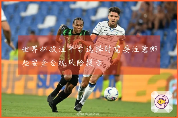 世界杯投注平台选择时需要注意哪些安全合规风险提示