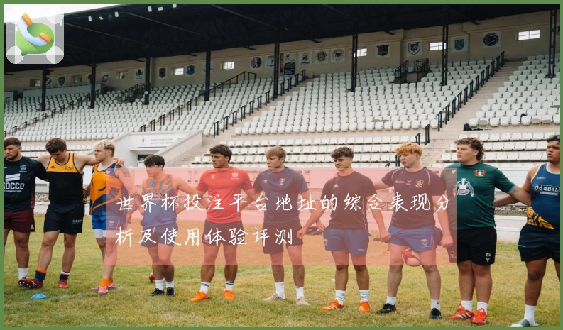 世界杯投注平台地址的综合表现分析及使用体验评测