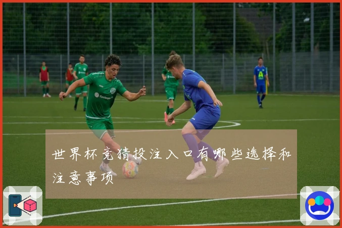世界杯竞猜投注入口有哪些选择和注意事项