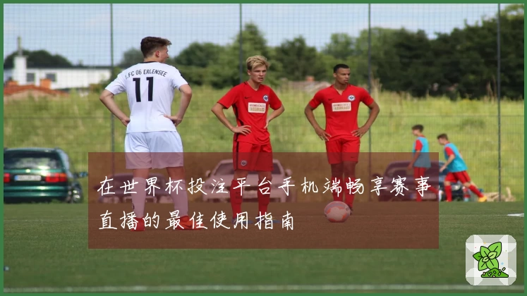 在世界杯投注平台手机端畅享赛事直播的最佳使用指南