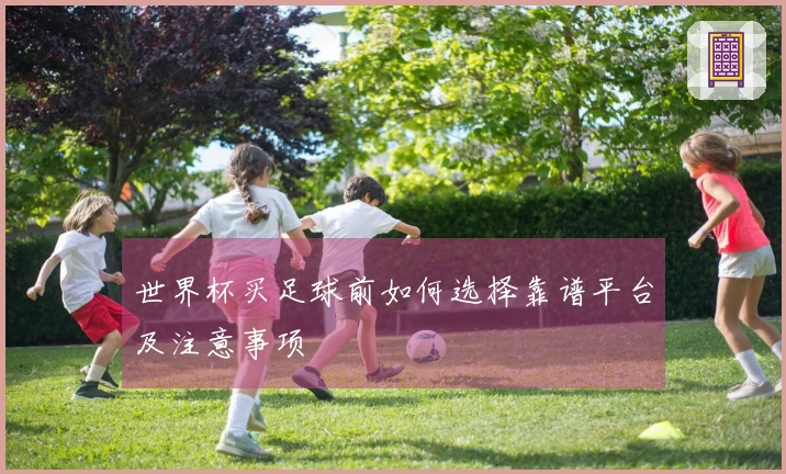 世界杯买足球前如何选择靠谱平台及注意事项