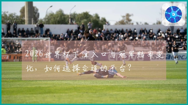 2026世界杯下注入口与冠军赔率变化,如何选择合适的平台?
