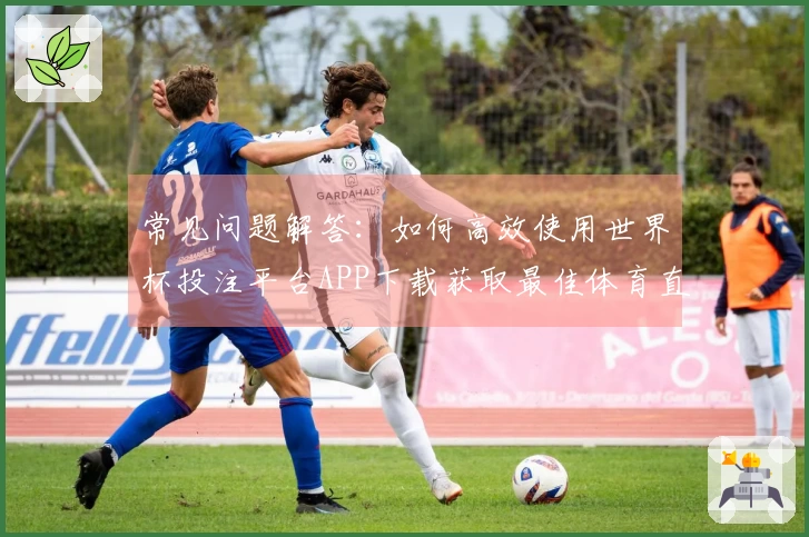 常见问题解答：如何高效使用世界杯投注平台APP下载获取最佳体育直播体验