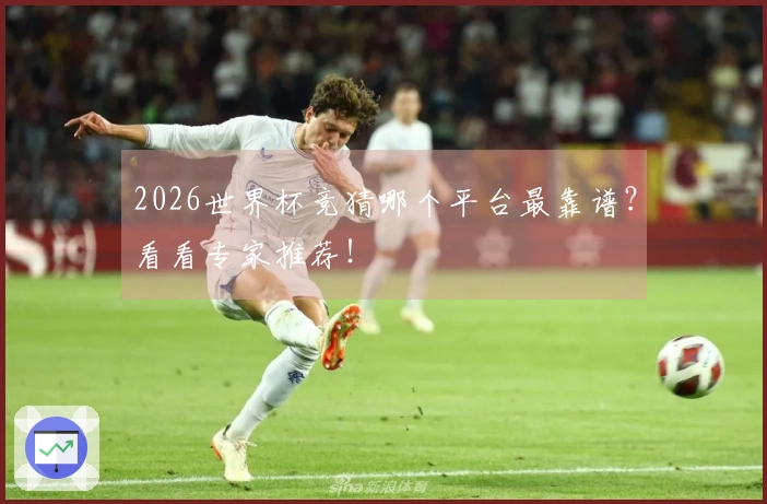 2026世界杯竞猜哪个平台最靠谱？看看专家推荐！