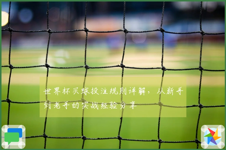 世界杯买球投注规则详解，从新手到老手的实战经验分享
