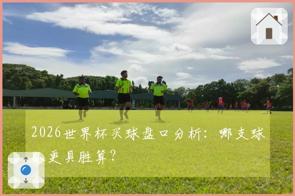 2026世界杯买球盘口分析：哪支球队更具胜算？