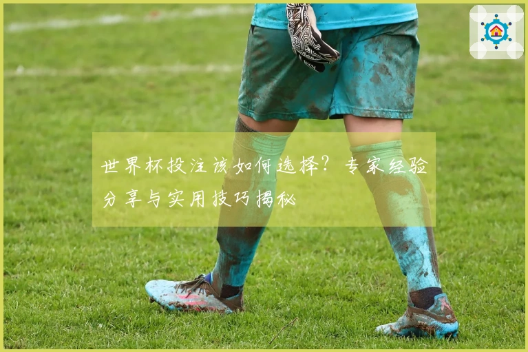 世界杯投注该如何选择？专家经验分享与实用技巧揭秘