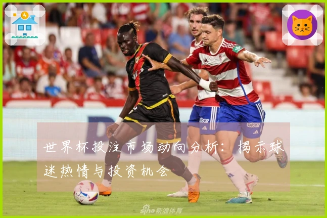 世界杯投注市场动向分析：揭示球迷热情与投资机会