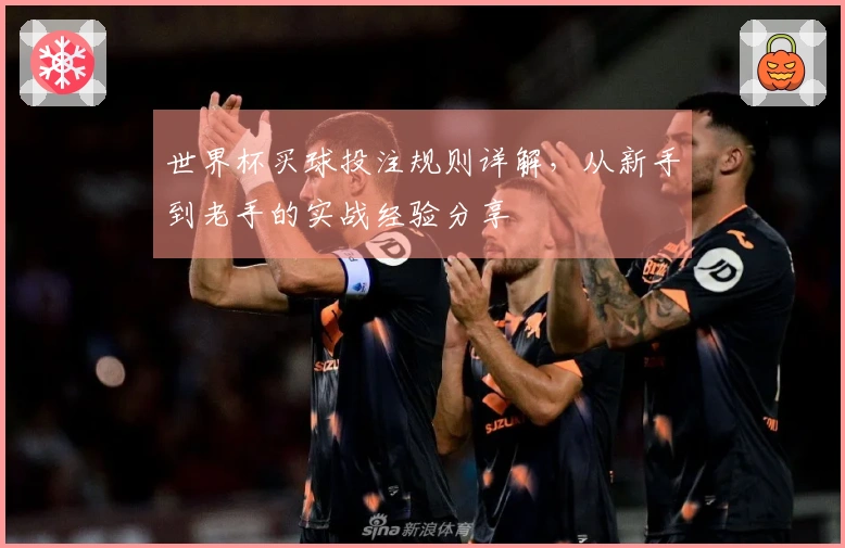 世界杯买球投注规则详解，从新手到老手的实战经验分享